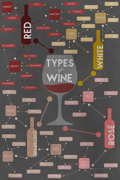 Types of Wine Infographic - Lantern Press Postcard