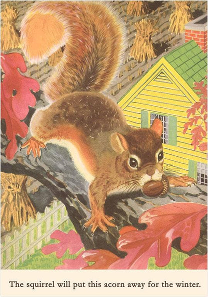 Squirrel with Acorn - Found Image postcard