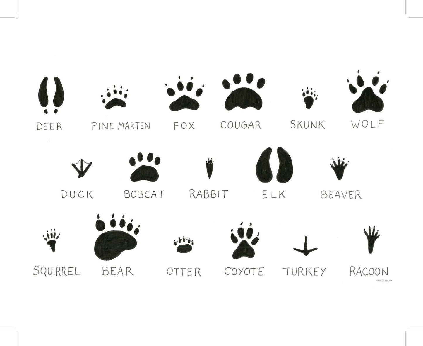 Animal PNW Prints Chart - Hiker Booty Postcard