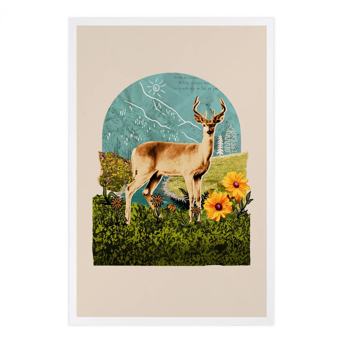 Retro Collage, Whitetail Deer, Beacon - Lantern Press Postcard