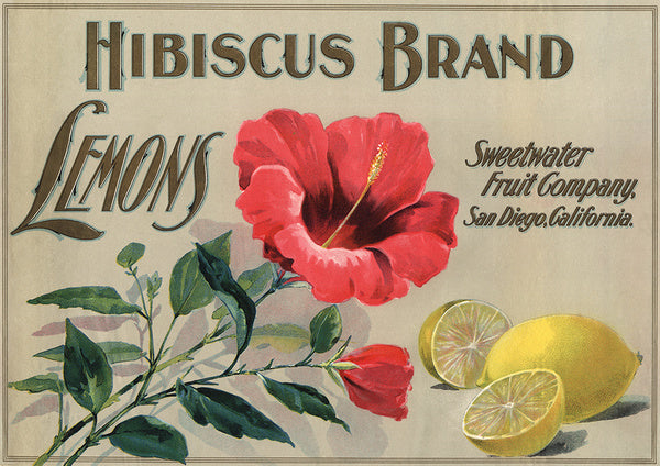 Hibiscus Brand - San Diego, California - Citrus Crate Label - Lantern Press Postcard