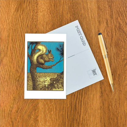 Kaibab Squirrel - Found Image postcard