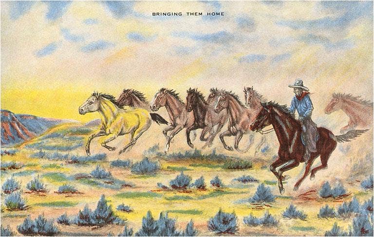 Cowboy Herding Wild Horses - Found Image postcard