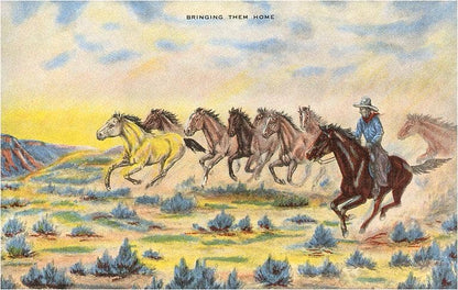 Cowboy Herding Wild Horses - Found Image postcard