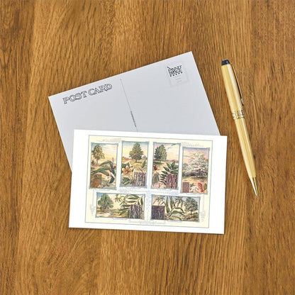 Tree Identification - Found Image postcard