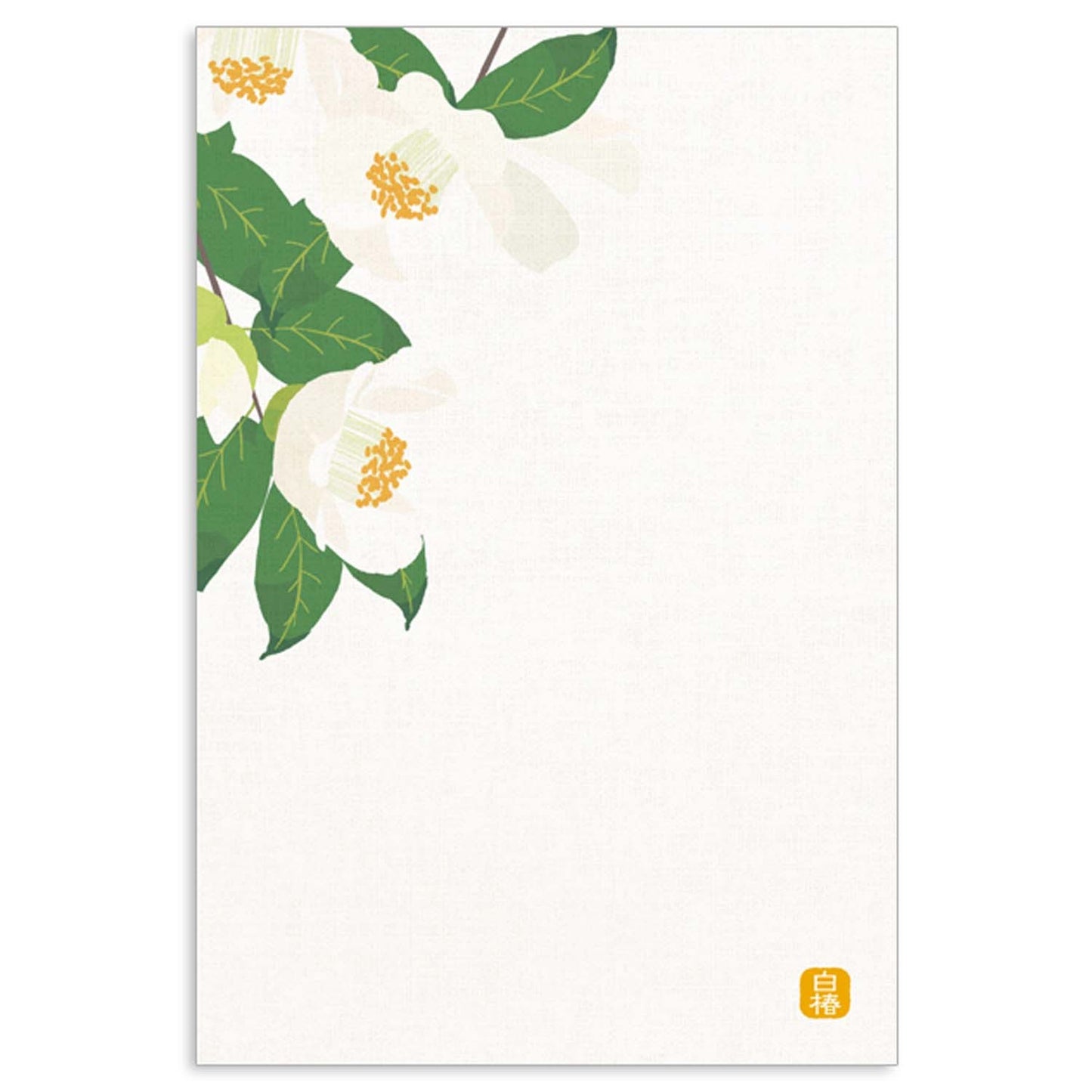 White Camellia - Frontia winter postcard