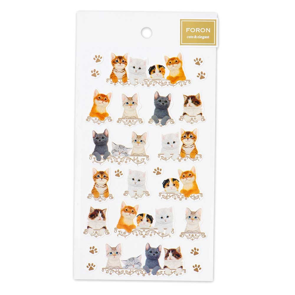 Kitten  - NB.co sticker