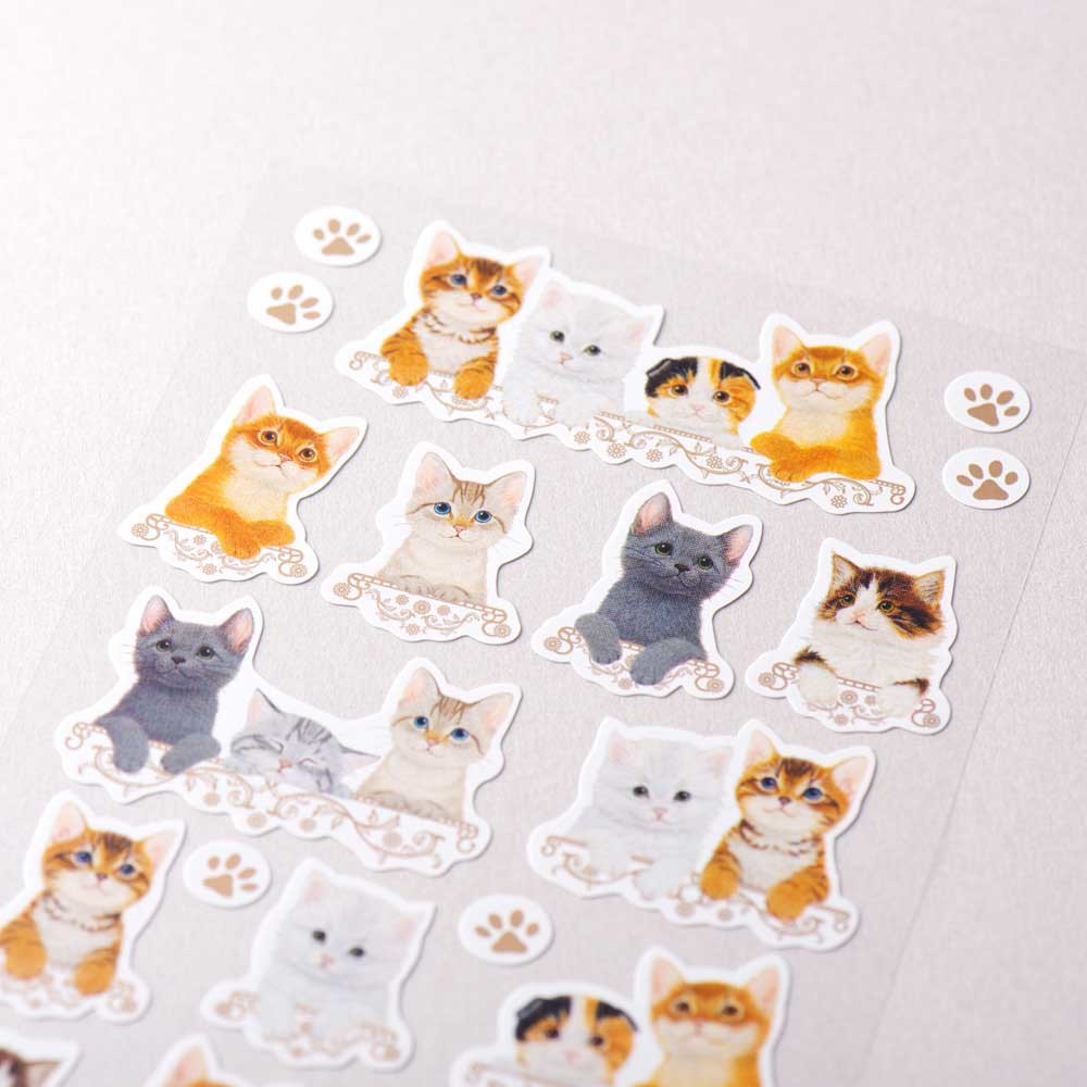 Kitten  - NB.co sticker
