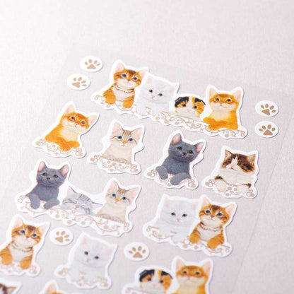 Kitten  - NB.co sticker