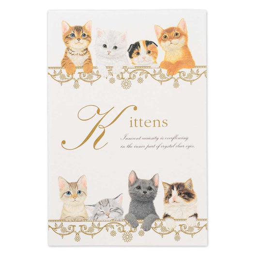 Kittens - NB.co postcard pads