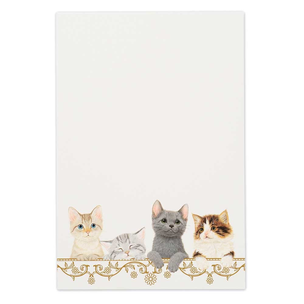 Kittens - NB.co postcard pads