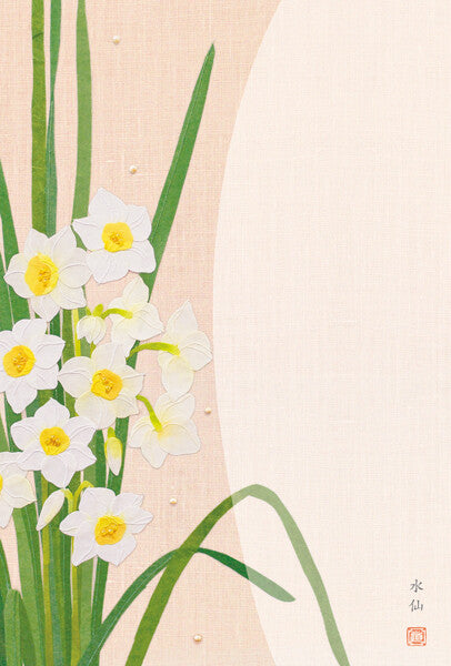 Daffodil, narcissus - Frontia postcard