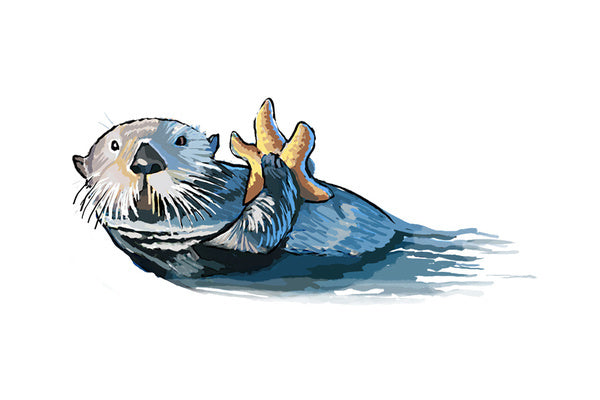 Sea Otter - Icon -  Lantern Press Postcard