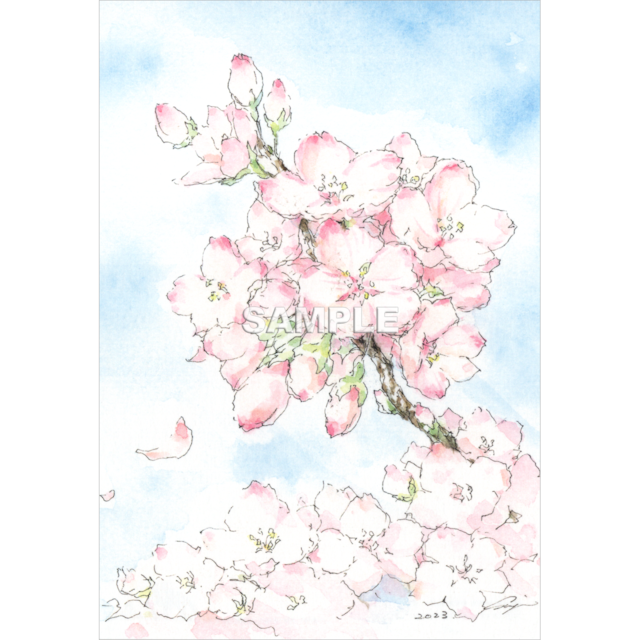 紅桜 - Shinya Uchida Postcard