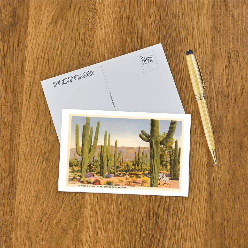 Saguaro National Park, Tucson - Found Image postcard