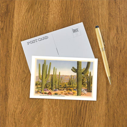 Saguaro National Park, Tucson - Found Image postcard