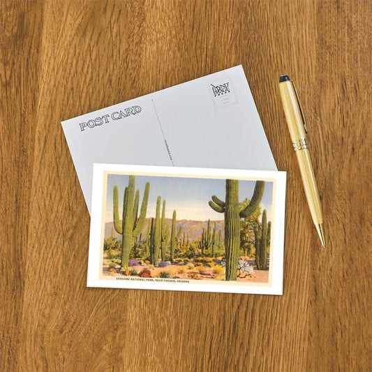 Saguaro National Park, Tucson - Found Image postcard