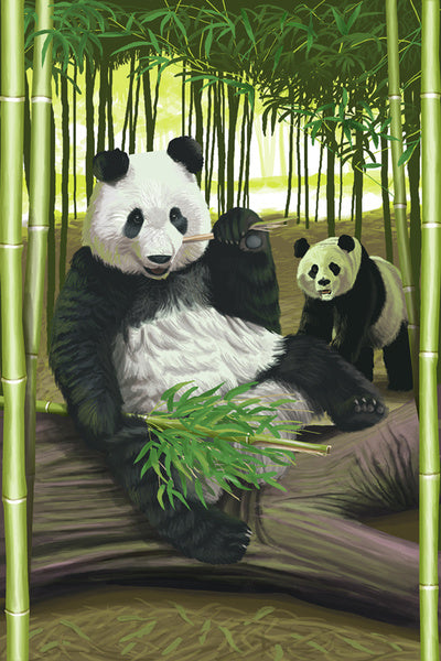 Pandas - Lantern Press Postcard