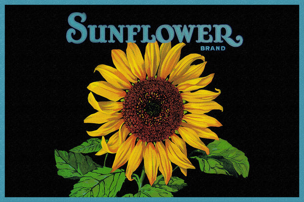 Sunflower Brand Crate Label - Lantern Press Postcard