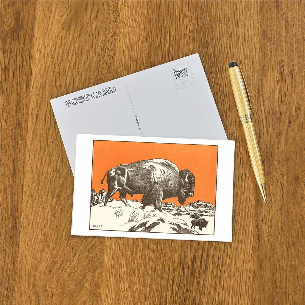 Bison - Found Image postcard
