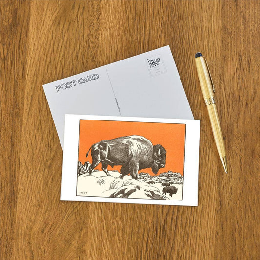 Bison - Found Image postcard