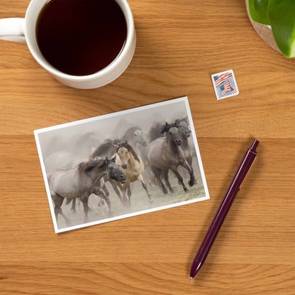 Wild Horses - Lantern Press Postcard