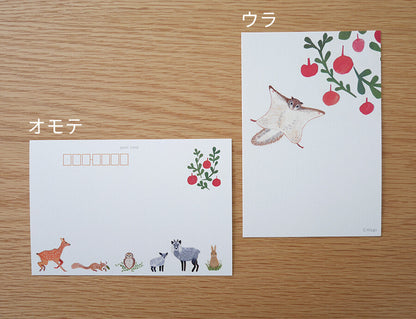 Momonga- 4Legs postcards