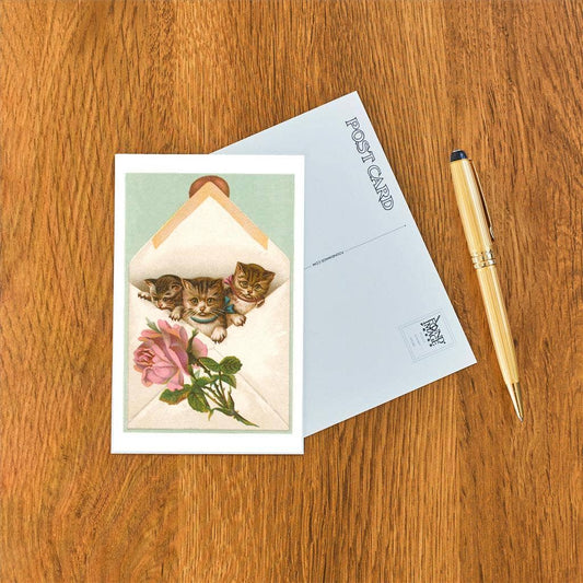 Kittens in Envelope with Rose - Found Image postcard