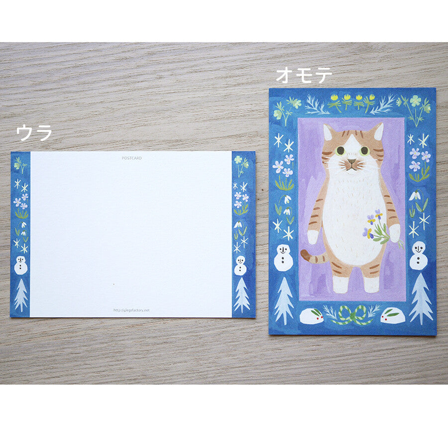 Brown-and-white sock cat - Cat in a picture book series- 4Legs postcards