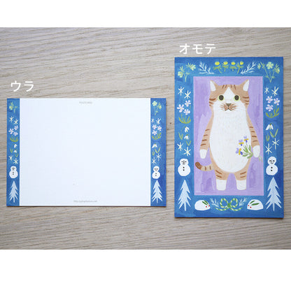 Brown-and-white sock cat - Cat in a picture book series- 4Legs postcards