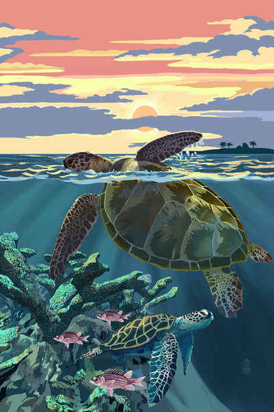 Sea Turtles & Sunset - Lantern Press Postcard