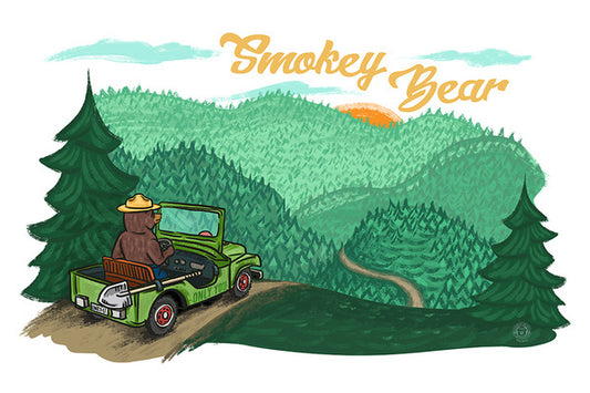 Smokey Bear Driving - Lantern Press Postcard