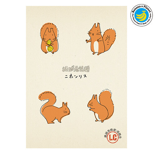 Japanese Squirrel - Endangered Species Series - Shinzi Katoh Postcard