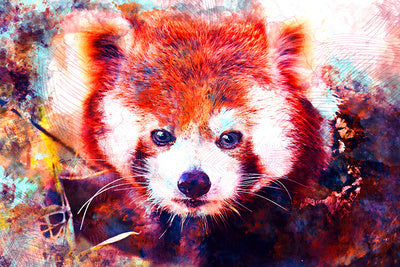 Red Panda - Vibrant Watercolor - Lantern Press Postcard