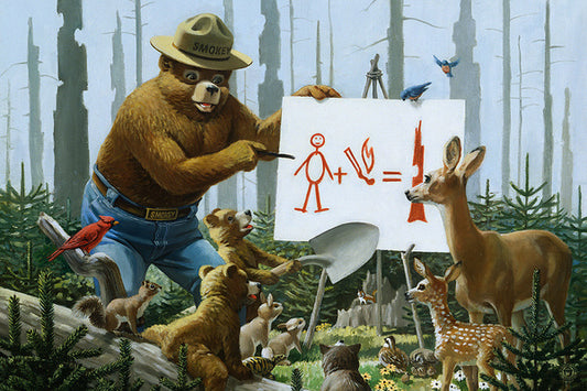 Smokey Bear - Forest Fire Equation - Lantern Press Postcard