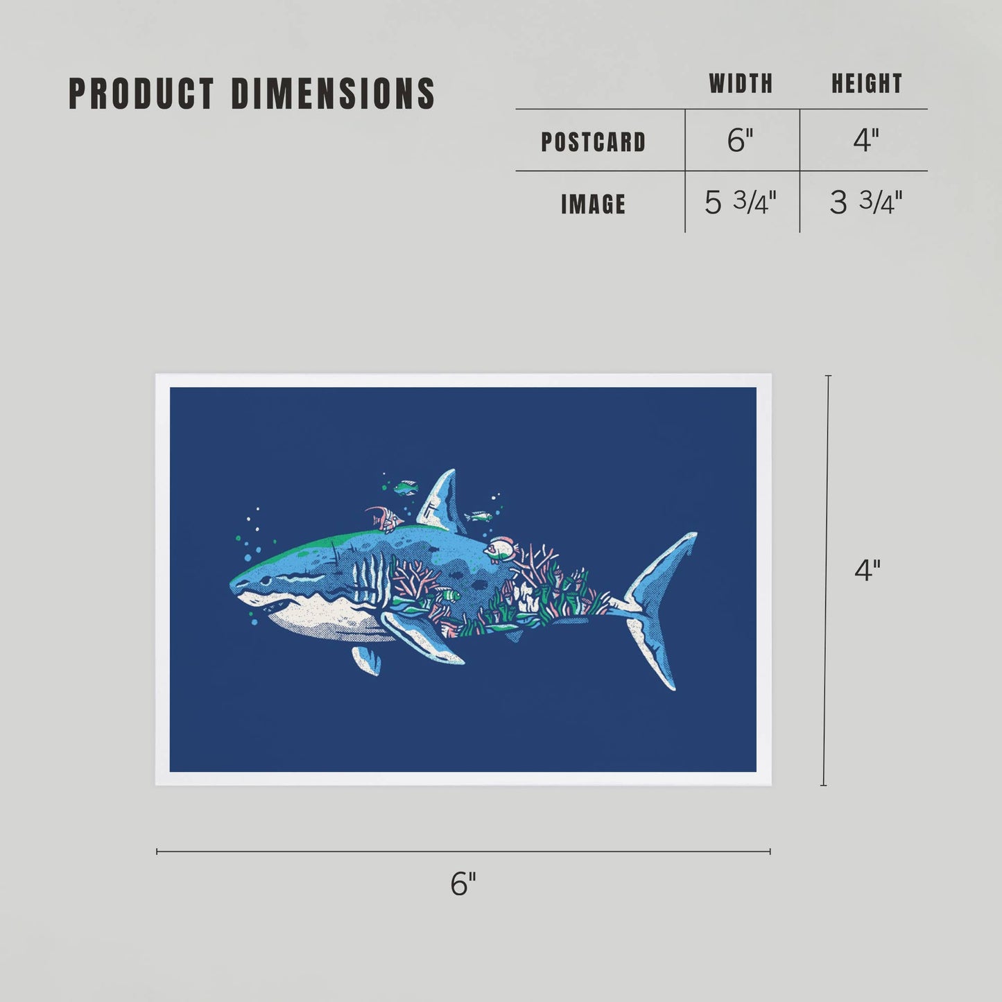 Shark, Distressed Vector - LanternPress postcard
