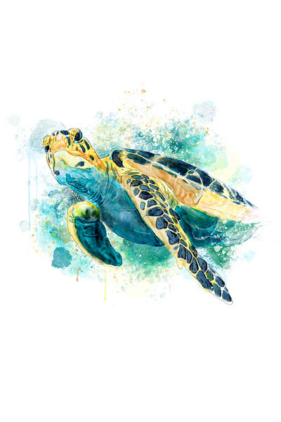 Sea Turtle - Watercolor - Lantern Press Postcard