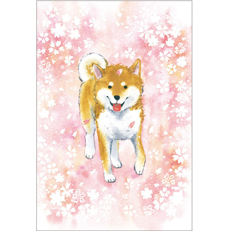 Shiba Inu and Cherry Blossom - Natsuka Murata Postcard