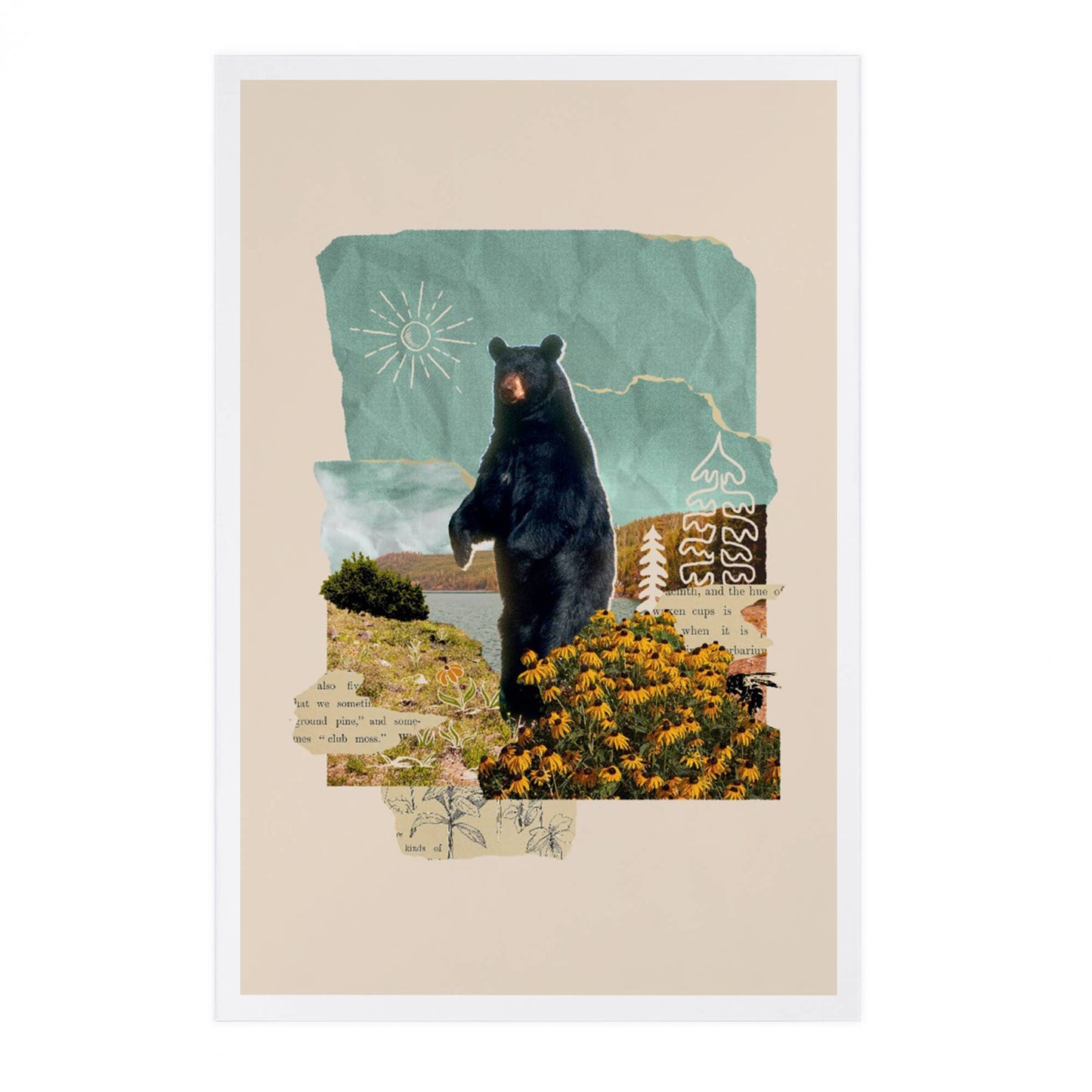 Retro Collage, Black Bear, Beacon - Lantern Press Postcard