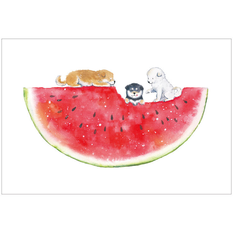 Shiba Inu and Watermelon - Natsuka Murata Postcard