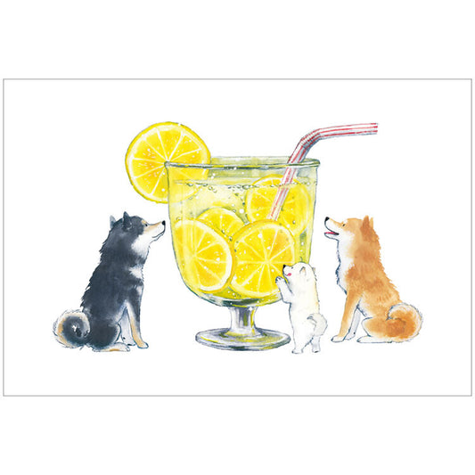 Shiba Inu and Lemonade - Natsuka Murata Postcard