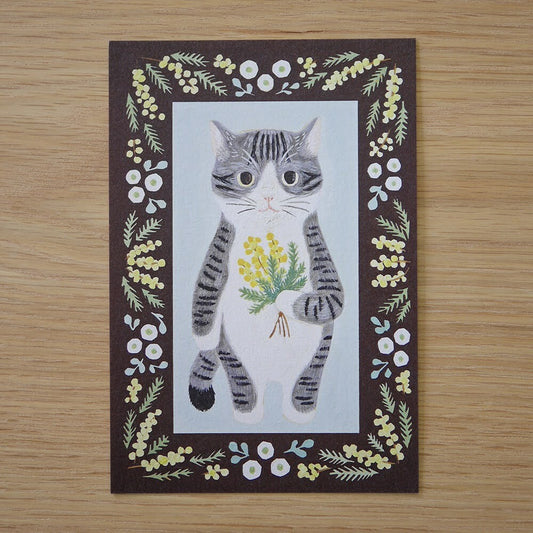 Saba White - Cat in a picture book series- 4Legs postcards