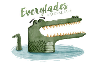 Everglades National Park, Florida - Alligator - Watercolor - Lantern Press Postcard