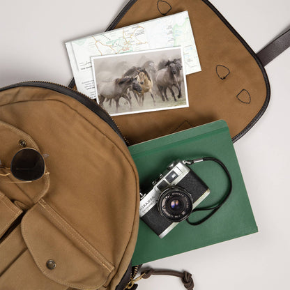 Wild Horses - Lantern Press Postcard