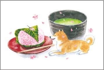 Shiba Inu, Sakura Mochi and Green Tea - Natsuka Murata Postcard