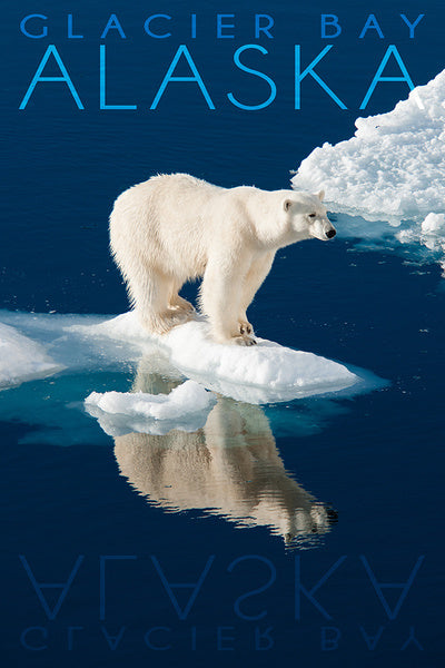 Glacier Bay, Alaska - Polar Bear & Reflection - Photography - LanternPress Postcard