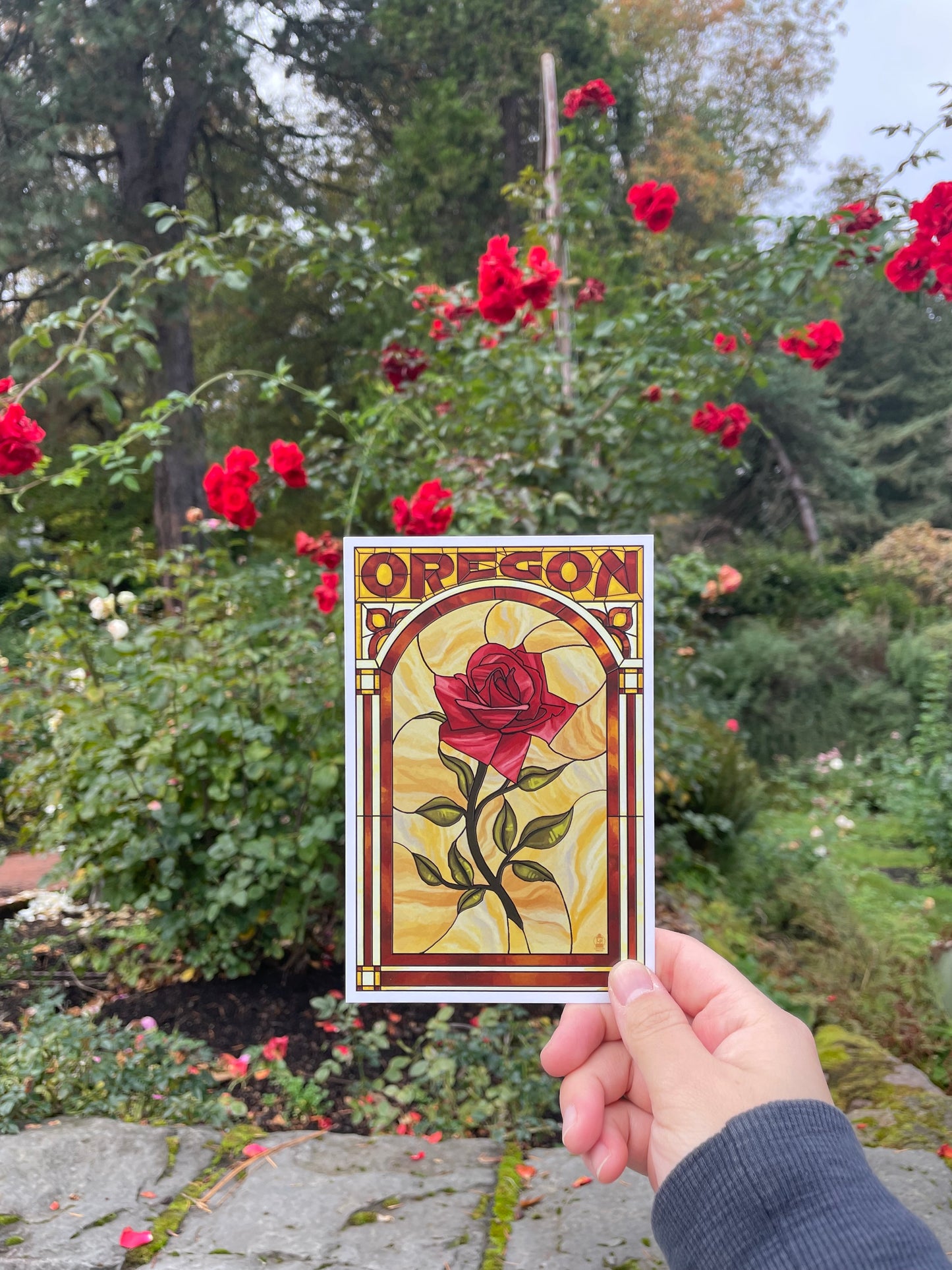 Oregon - Rose Stained Glass - Lantern Press Postcard