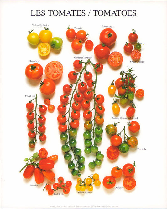 TOMATOES