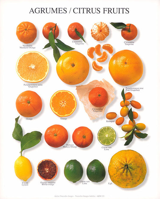 CITRUS FRUITS