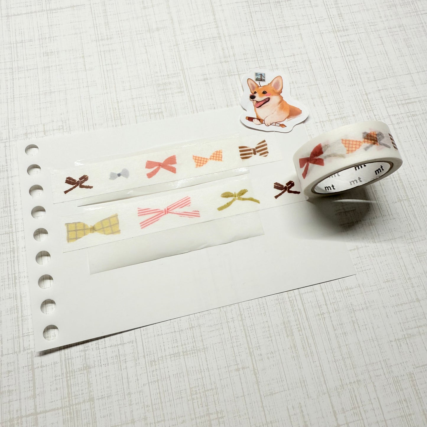 Ribbon - 55cm sampler - mt x Miki Tamura (SHIMOJIMA 心斎橋店) - event limited edition